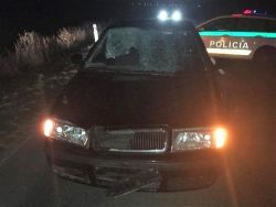 Po tragickej nehode medzi Trnavou a Dolnou Krupou vyhasol mladý život
