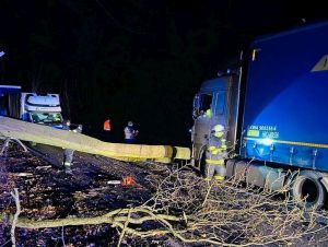 Na Bielej hore spadol strom, následná nehoda zablokovala premávku