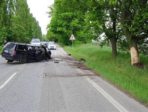 Nehoda medzi Trnavou a Bučanmi: Vodič narazil autom do stromu