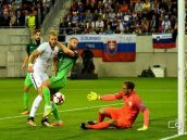 Slováci pred takmer 17-tisícovou kulisou zdolali v Trnave Slovincov