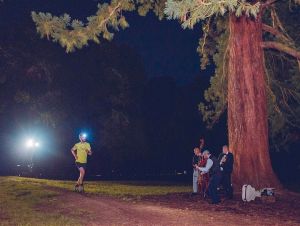 night_run_apimed_250724.jpg