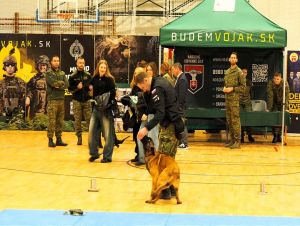 SOŠ na Lomonosovovej v Trnave otvorí študijný odbor s vojenským zameraním