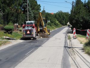 p1014432.JPG