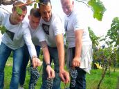 Netradičný tréning hádzanárov Sporty: Na Francúzov sa pripravovali vo vinohradoch