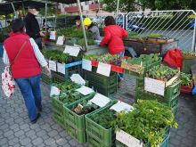FOTO: Trhovisko v Trnave otvorili, v ponuke dominovali zeleninové  a kvetinové planty