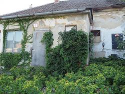 O byt v Trnave za 2500 eur sa strhla cenová bitka, chceli ho ľudia z celého Slovenska