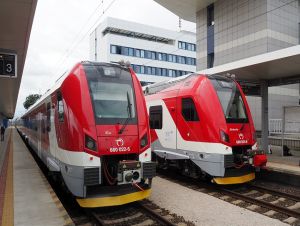 panter_trnava_20250603.JPG