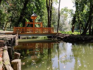 park_pri_kastieli_voderady_260604.jpg