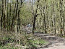 Polícia zasahovala v Malých Karpatoch, chránenú oblasť narušili motoristi
