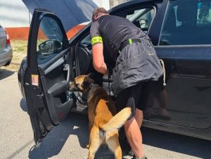 Polícia v Trnavskom kraji zadržala dve drogové dílerky, hrozí im 15 rokov basy