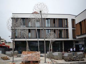 Pred luxusnou rezidenciou v centre Trnavy osadili nadrozmerné umelecké púpavy