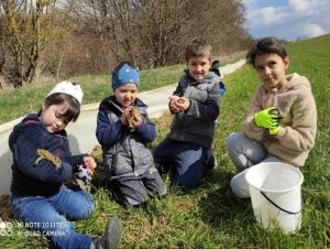 Blíži sa jarná migrácia ropúch, v Moravanoch nad Váhom im pomôžu cez cestu