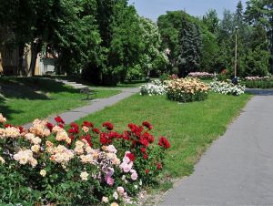 Trnava sa uchádza s mestskými projektami o eurofondy v hodnote 14 miliónov eur