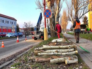 Na Rybníkovej ulici je čiastočne obmedzená premávka, rúbu tu staré topole