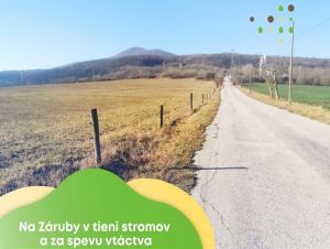 V Smoleniciach pribudnú desiatky ovocných stromov tradičných odrôd