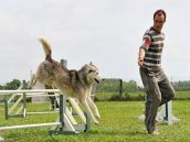 Pozor na svojich psov! Na Družbe niekto rozmiestnil zrejme otrávené mäsové návnady