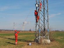 Úspešný projekt pri Siladiciach: Búdky pre sokola myšiara sú plné mláďat