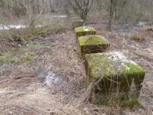 sladok_kocky_1__kopia.jfif