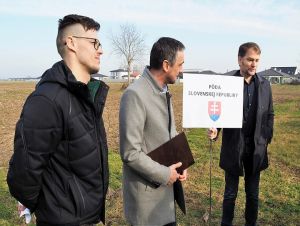 Podvodom predanú pôdu v Špačinciach získal štát späť, prenajme ju farmárovi