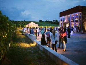 Vinohradmi v Ružovej doline budú znieť jazzové skladby