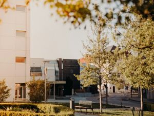 Históriu Trnavskej univerzity približuje nová interaktívna hra