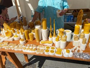 Nádvorie trnavskej radnice patrí včelárom a včelím produktom