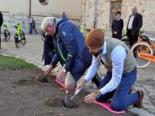 Trnava na jar zakvitne tulipánmi vo farbách Slovenska