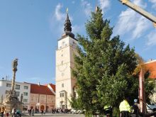 FOTO: Trojičné námestie už zdobí vianočný strom, stojí za ním netuctový príbeh