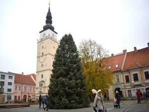 Na námestí v Trnave už stojí vianočný strom, nádhernú jedľu priviezli zo Suchej
