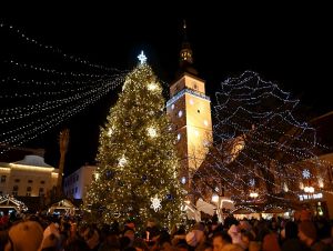 Trnavské Trojičné námestie bude zdobiť vianočný strom z Brestovian