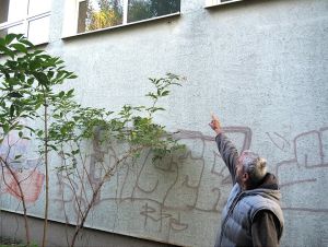 Invázia sršňov v Modranke: V stene športovej haly ich môže byť až tisíc