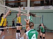 Trnavské volejbalistky chcú v novej sezóne zabojovať o extraligu