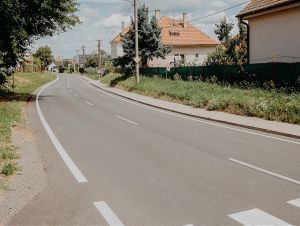 vrbove_cesta.jpg