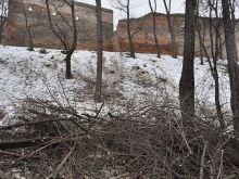 Petícia proti výrubu zelene na Hlbokej ulici už je na meste, podpísalo ju 520 ľudí