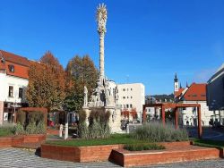 Záhon na Trojičnom námestí v Trnave zostane prvýkrát aj cez zimu
