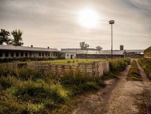 Župa ponúka na prenájom školské hospodárstvo na Zavarskej, chce tam ekofarmu