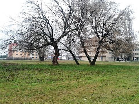 Časť pozemkov v areáli trnavskej nemocnice získa súkromný investor