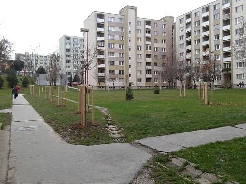 Mesto vysadilo na trnavských sídliskách novú zeleň
