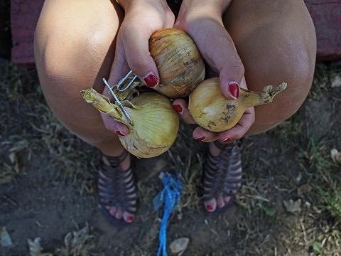 VIDEO: Dievčatá mali cibuľu všade