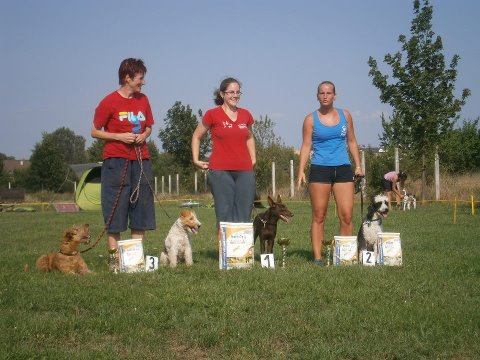 Zorka vyskákala na domácom podujatí v agility tretie miesto