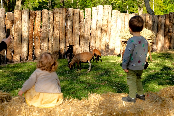 Archeopark Cífer – Pác spúšťa sezónu, otvorí mini zoo, chystá aj ďalšie novinky