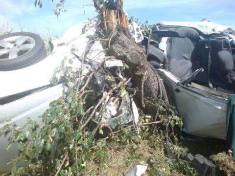 Dvaja mŕtvi a jedna ťažko ranená. Auto narazilo do stromu medzi Dolným Trhovišťom a Merašicami