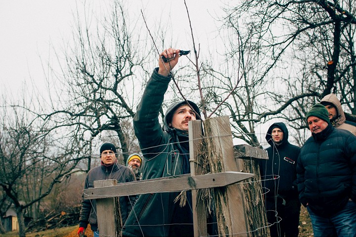 V Naháči chystajú burzu vrúbľov starých ovocných stromov