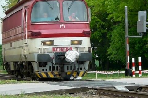 VIDEO: Muža vlak roztrhal napoly, ženu na franforce