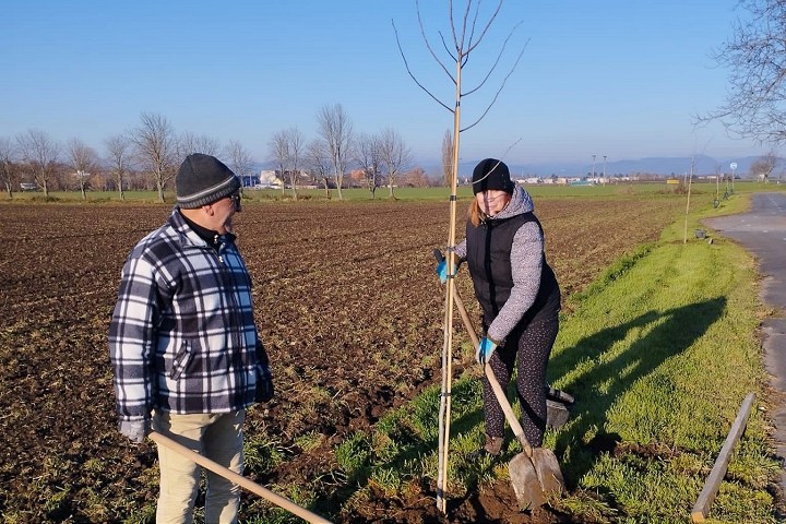 V Cíferi vysadili novú obecnú zeleň, v archeoparku voňali zabíjačkové dobroty
