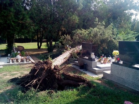 Cintoríny v Trnave po víchrici opäť sprístupnili pre verejnosť