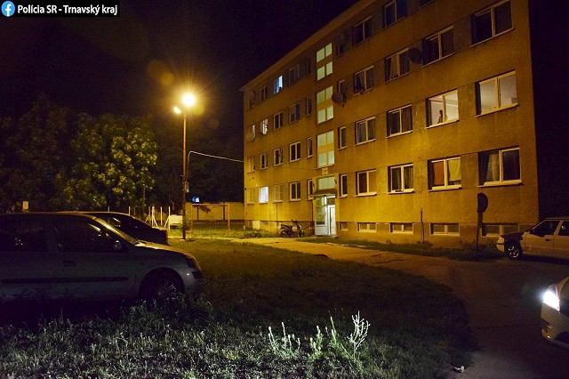 Na Coburgovej zahynul malý pes potom, ako ho niekto vyhodil z okna