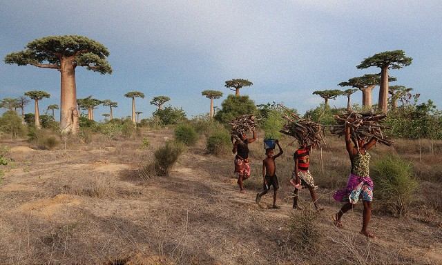Cestovateľské kino: Z Trnavy cez Malý Berlín sa pôjde až na Madagaskar