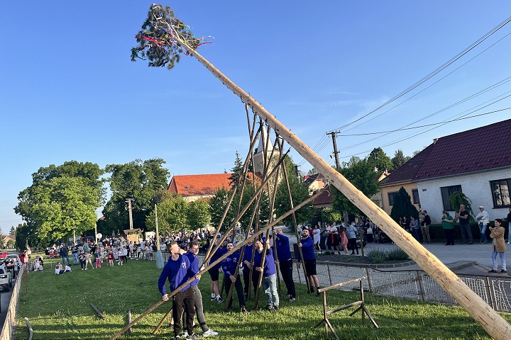 FOTO: V Dolnom Lopašove stavajú chlapi máj tradičným spôsobom - ručne