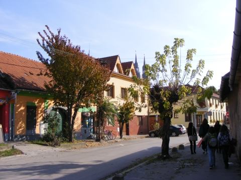 A kúpeľník sa volal Koupelikovič